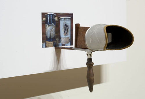 Double Vision: Homme-Lamantine