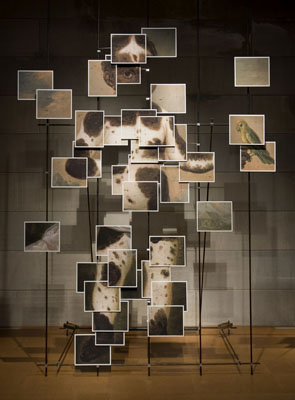 Double Vision: Mappa Mundi