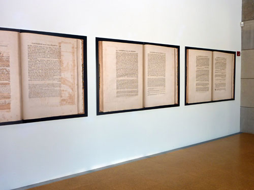 Jeffrey Schiff: Double Vision Texts