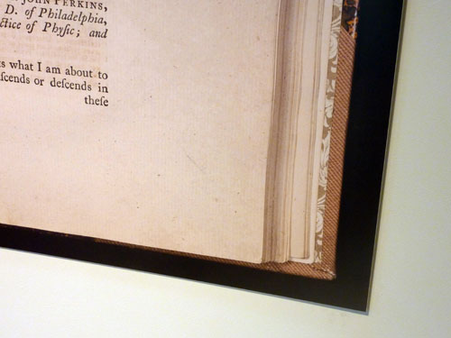 Jeffrey Schiff: Double Vision Texts