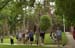 02_rc_sat-morning_011